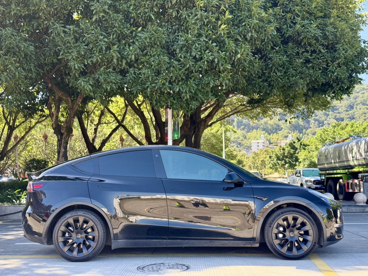 特斯拉 Model Y  2021款 改款 標(biāo)準(zhǔn)續(xù)航后驅(qū)升級(jí)版圖片