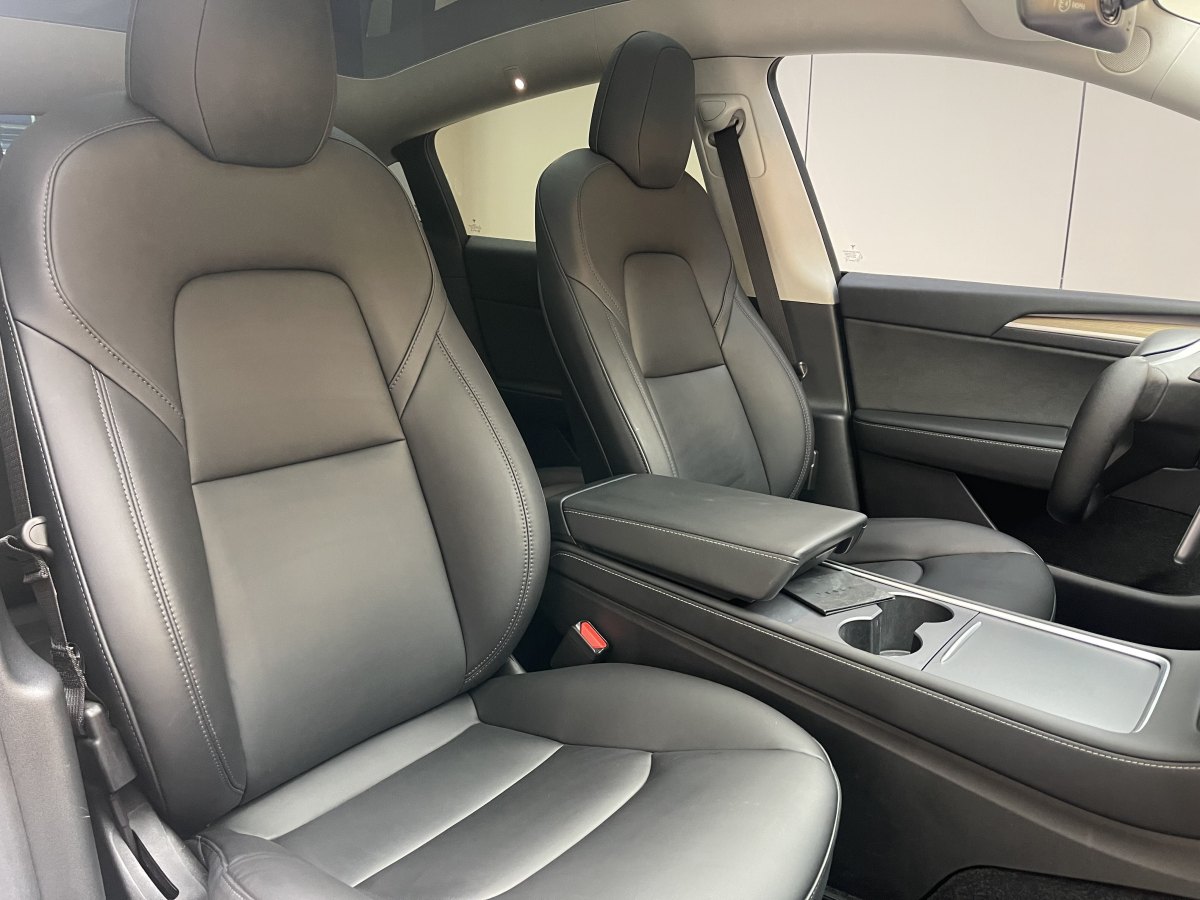 特斯拉 Model Y  2021款 標(biāo)準(zhǔn)續(xù)航后驅(qū)版圖片