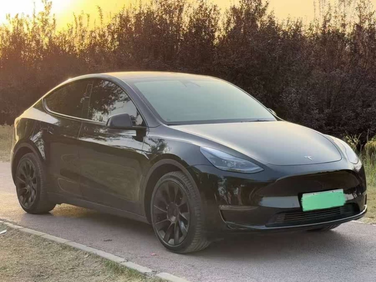 特斯拉 Model Y  2021款 標(biāo)準(zhǔn)續(xù)航后驅(qū)版圖片