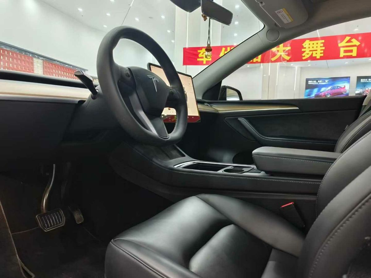 特斯拉 Model 3  2022款 Performance高性能全輪驅(qū)動版圖片