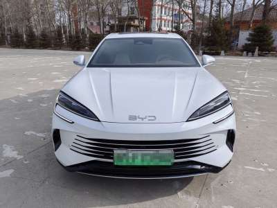 2024年7月 比亞迪 海豹 DM-i 1.5L 121km 豪華型圖片