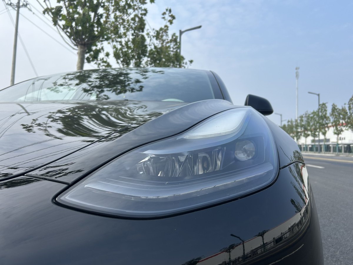 特斯拉 Model 3  2019款 標(biāo)準(zhǔn)續(xù)航后驅(qū)升級(jí)版圖片