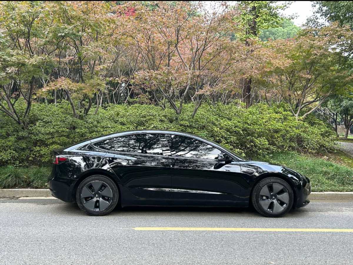 特斯拉 Model 3  2019款 標(biāo)準(zhǔn)續(xù)航后驅(qū)升級(jí)版圖片