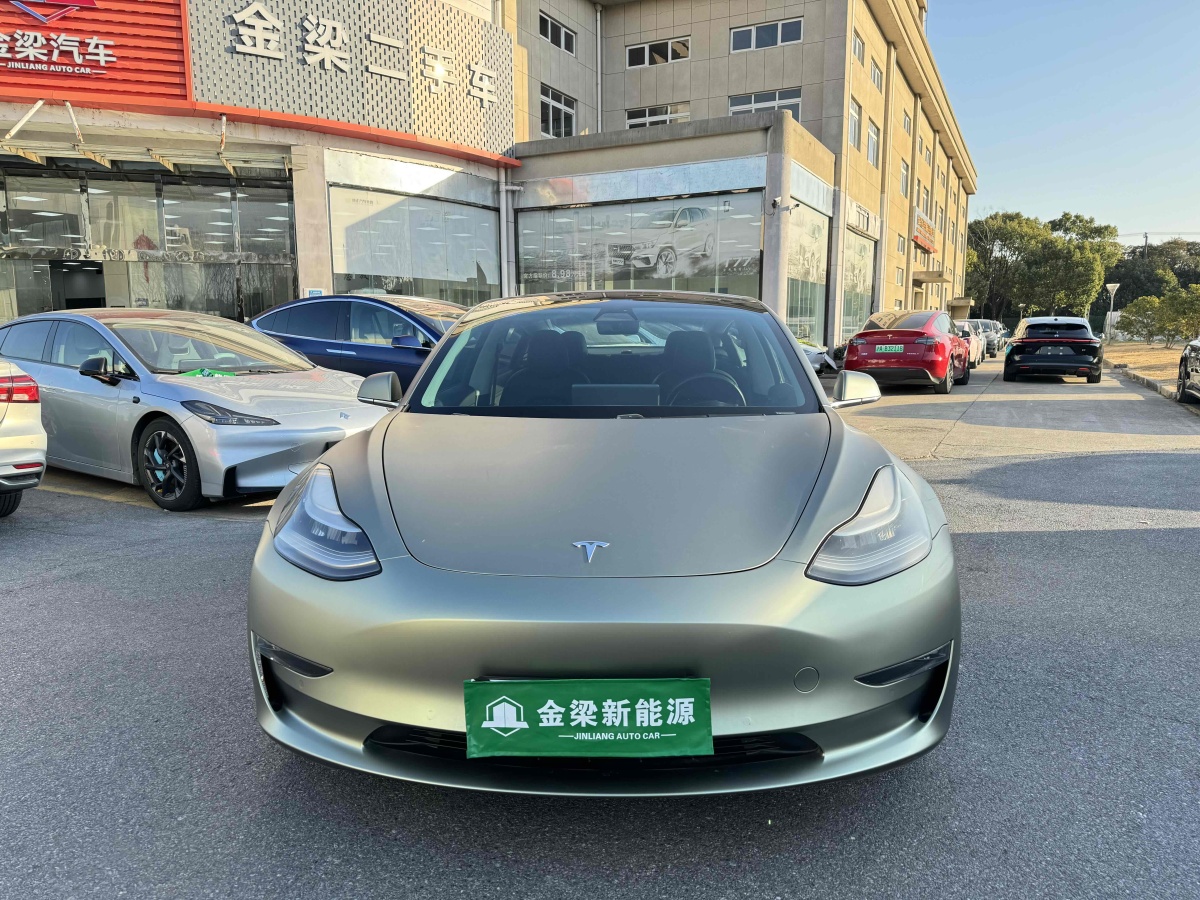 特斯拉 Model 3  2019款 Performance高性能全輪驅(qū)動(dòng)版圖片