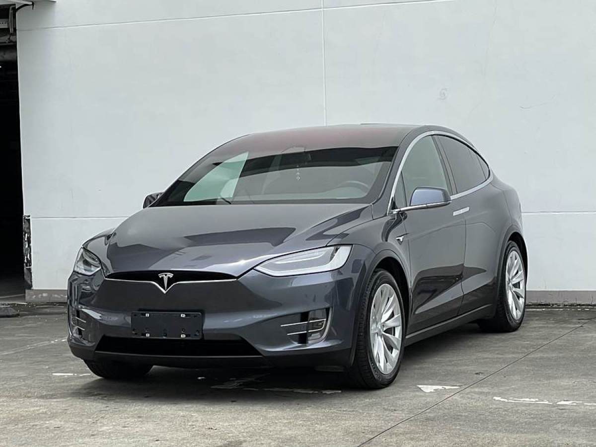 特斯拉 Model X  2016款 Model X 75D圖片