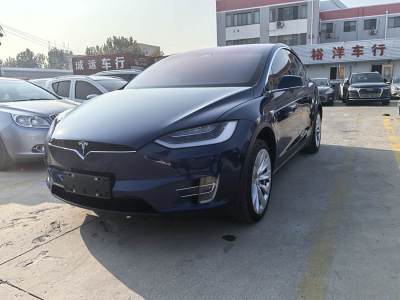 2017年7月 特斯拉 Model X Model X 75D圖片