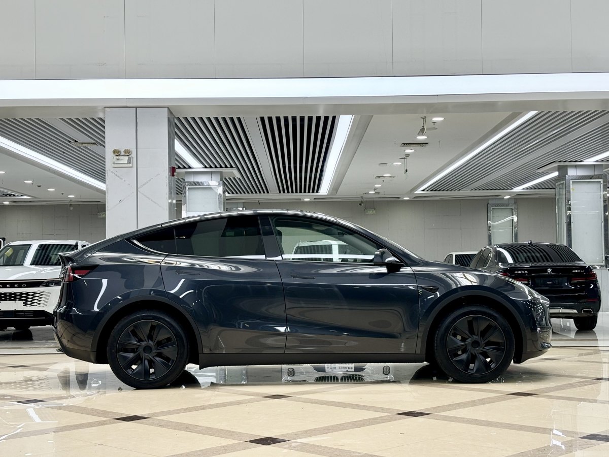 特斯拉 Model Y  2020款 改款 長續(xù)航后輪驅(qū)動版圖片