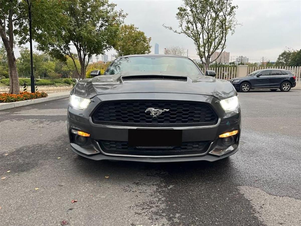 福特 Mustang  2015款 2.3T 性能版圖片