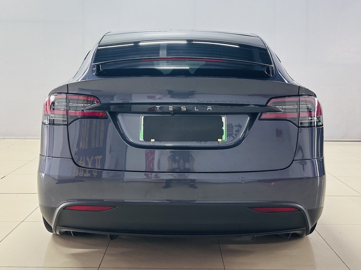 特斯拉 Model X  2020款 長續(xù)航升級版圖片