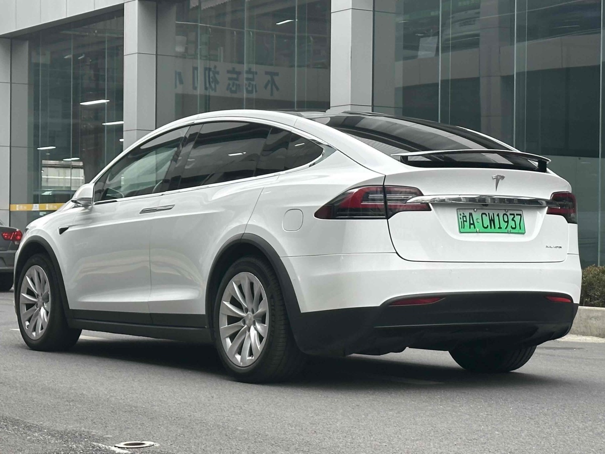 特斯拉 Model X  2020款 長續(xù)航升級(jí)版圖片