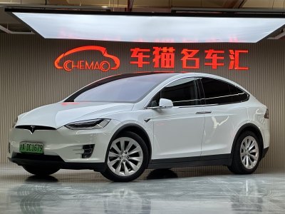 2019年5月 特斯拉 Model X Model X 75D圖片