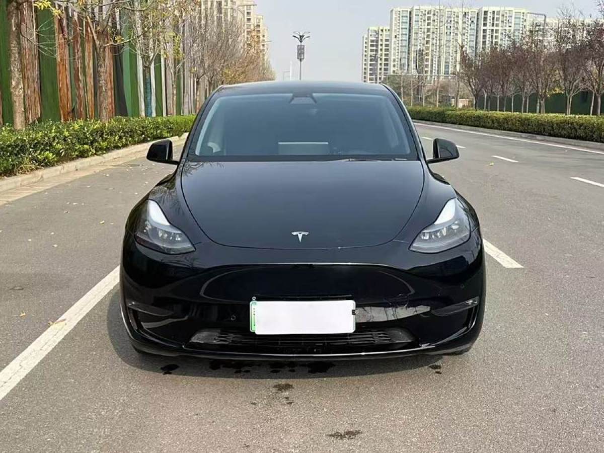 特斯拉 Model 3  2021款 改款 標準續(xù)航后驅(qū)升級版圖片