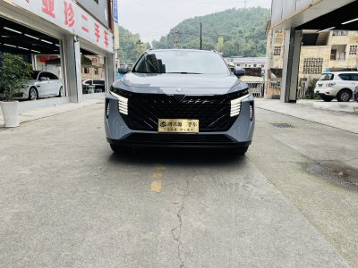 2022年1月 启辰 启辰大V 260T 天王版图片