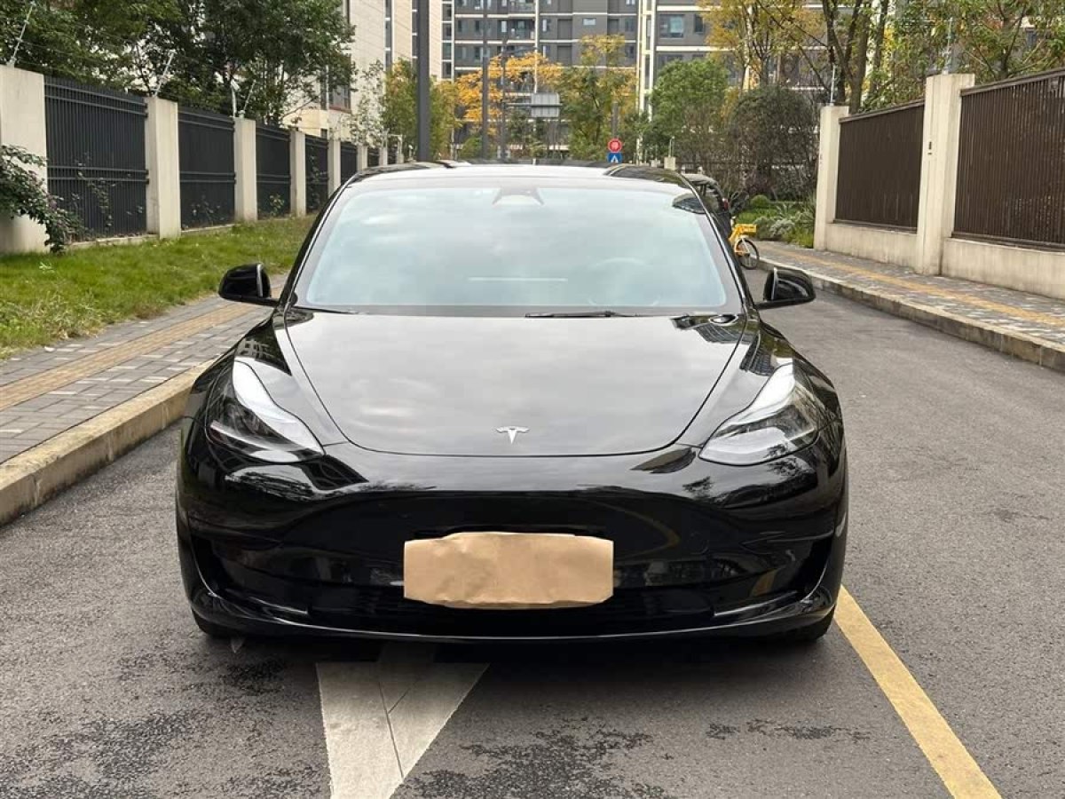特斯拉 Model 3  2020款 改款 標準續(xù)航后驅升級版圖片