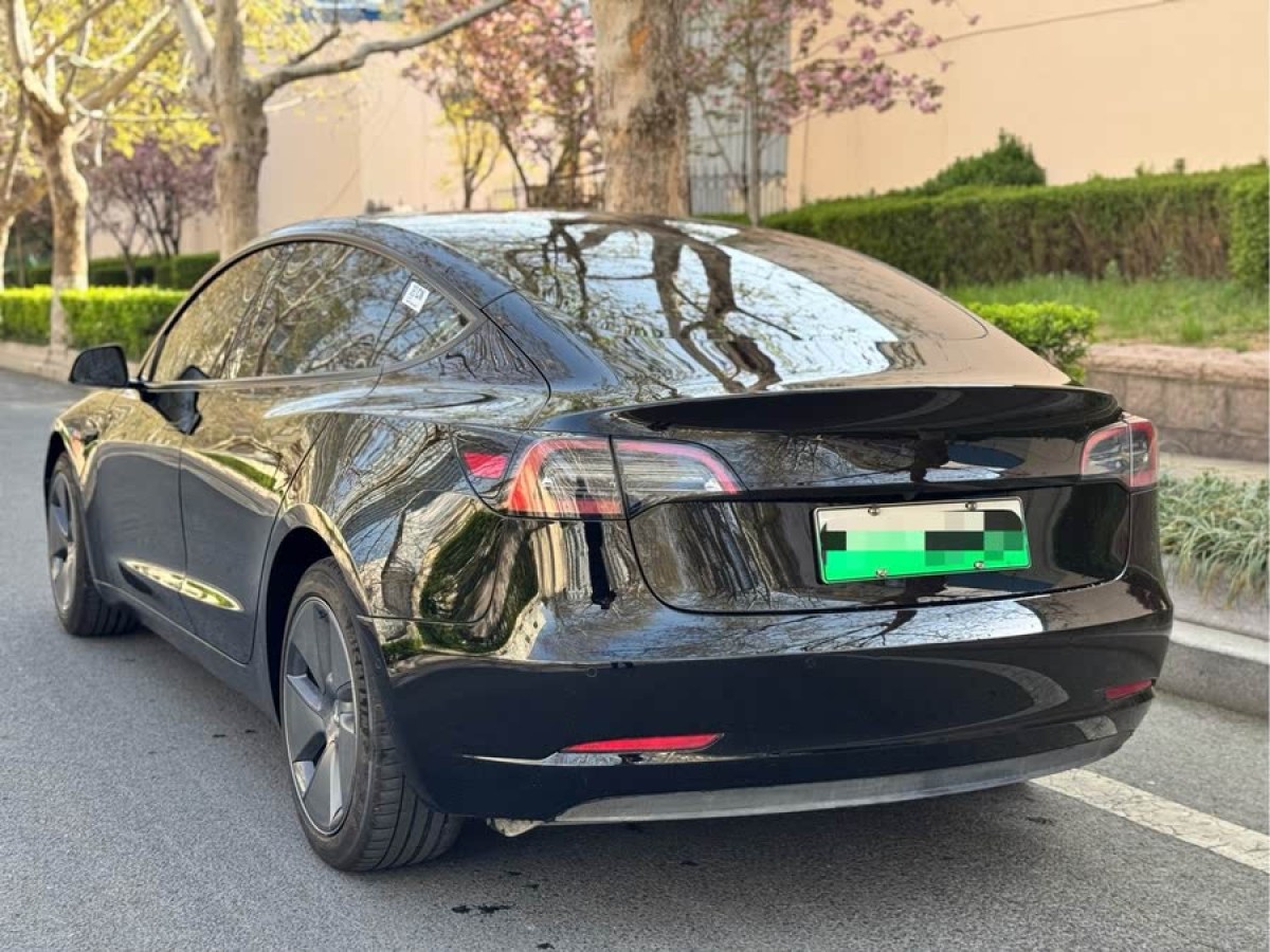 特斯拉 Model 3  2022款 后輪驅(qū)動版圖片