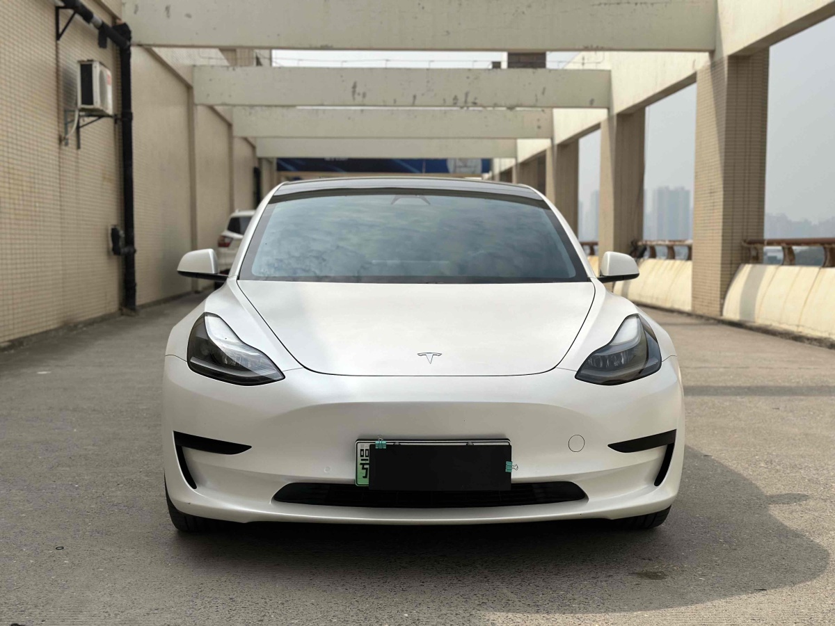 2021年1月特斯拉 Model Y  2021款 標(biāo)準(zhǔn)續(xù)航后驅(qū)升級版 3D6