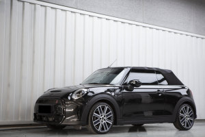 MINI MINI 2.0T COOPER S CABRIO 藝術(shù)家