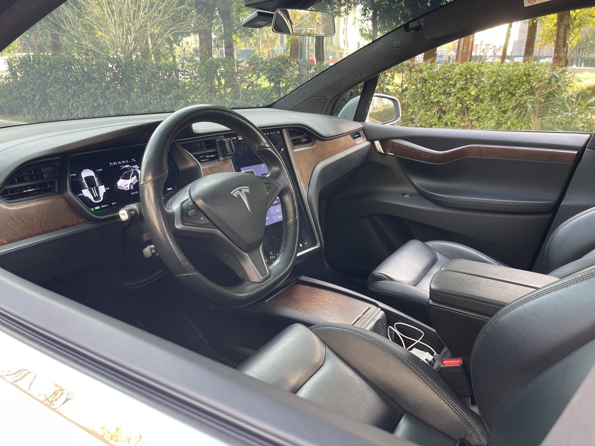 特斯拉 Model X  2019款 標(biāo)準(zhǔn)續(xù)航版圖片