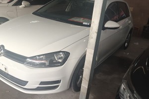 高爾夫 大眾 1.6L 自動(dòng)時(shí)尚型
