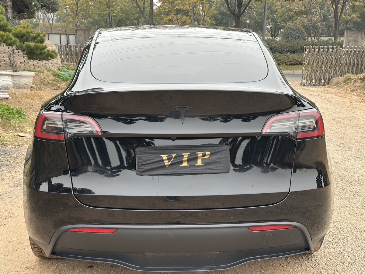 特斯拉 Model Y  2022款 后驅(qū)版圖片