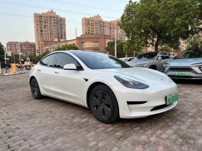 2021年3月 特斯拉 Model Y 標準續(xù)航后驅升級版 3D6圖片