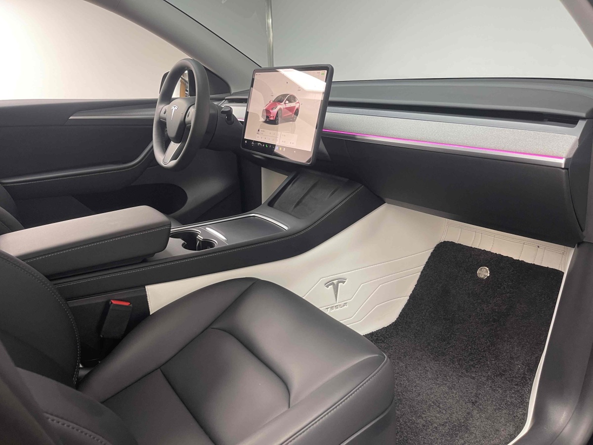 特斯拉 Model Y  2023款 后輪驅(qū)動(dòng)版圖片