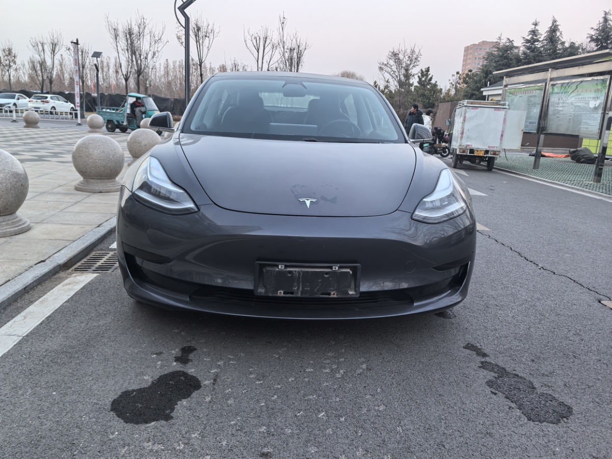 特斯拉 Model 3  2019款 標準續(xù)航后驅升級版圖片