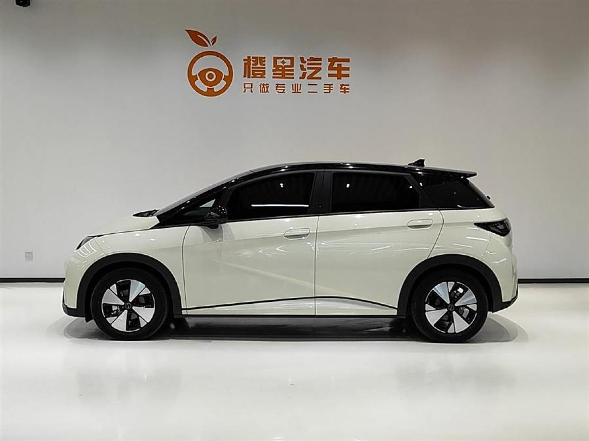 比亞迪 海豚  2023款 420km 時(shí)尚版圖片