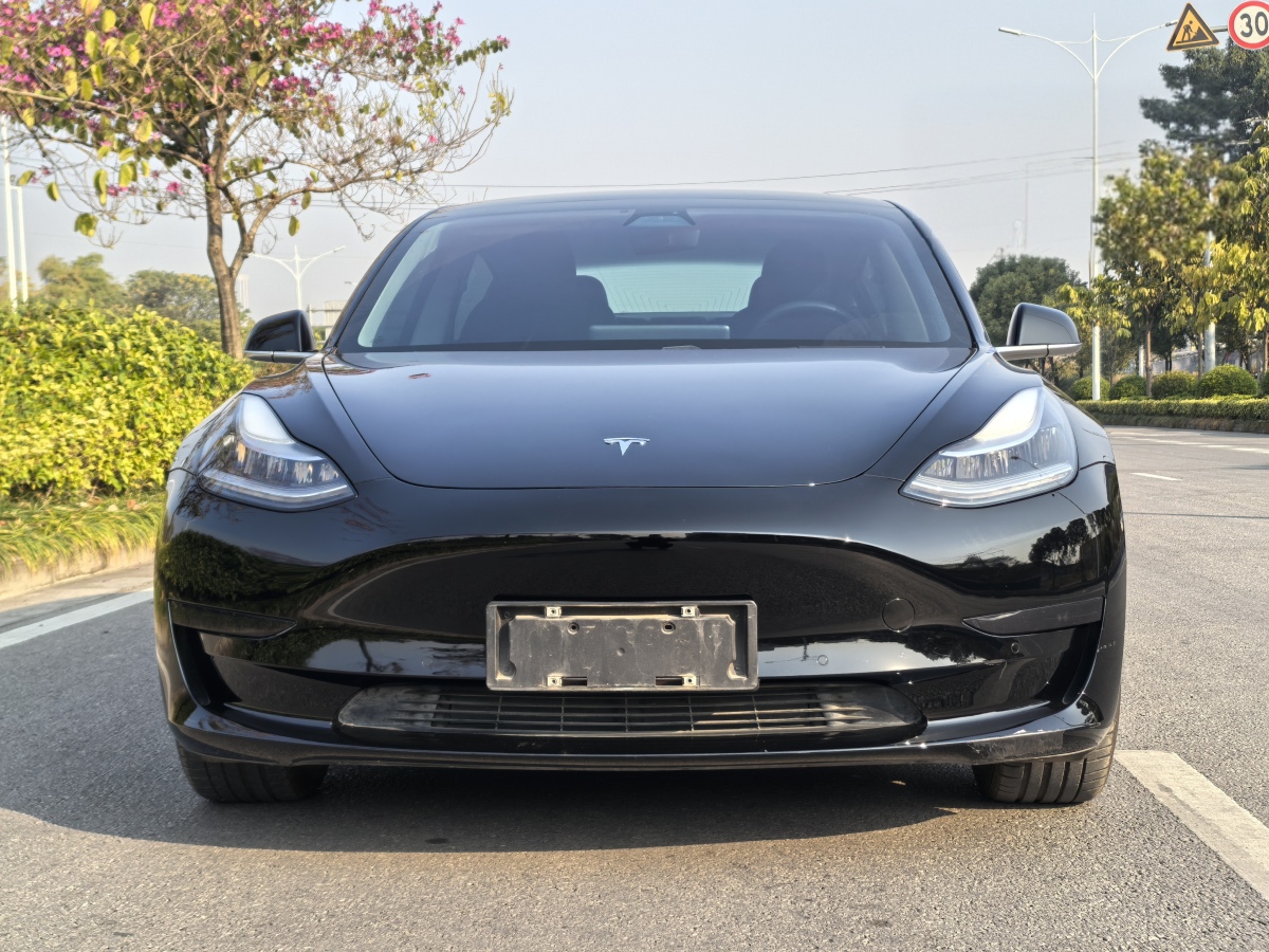 特斯拉 Model 3  2019款 標(biāo)準(zhǔn)續(xù)航后驅(qū)升級版圖片