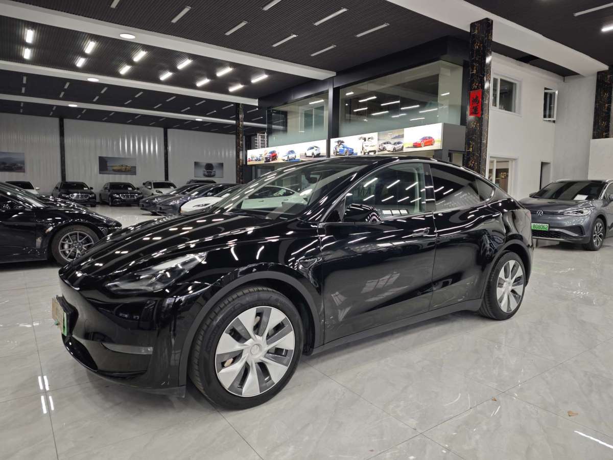 特斯拉 Model Y  2021款 標(biāo)準(zhǔn)續(xù)航后驅(qū)版圖片