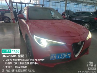 2019年1月 阿尔法·罗密欧 Stelvio 2.0T 200HP 豪华版图片