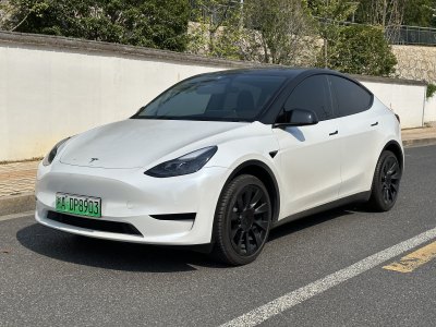 2023年8月 特斯拉 Model Y 改款 長續(xù)航后輪驅動版圖片