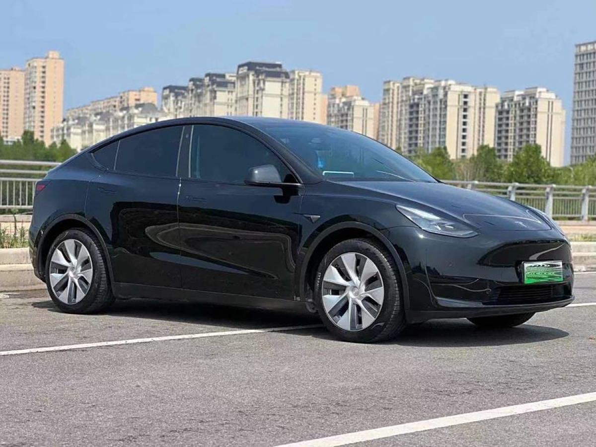 特斯拉 Model 3  2020款 改款 長續(xù)航后輪驅(qū)動版圖片