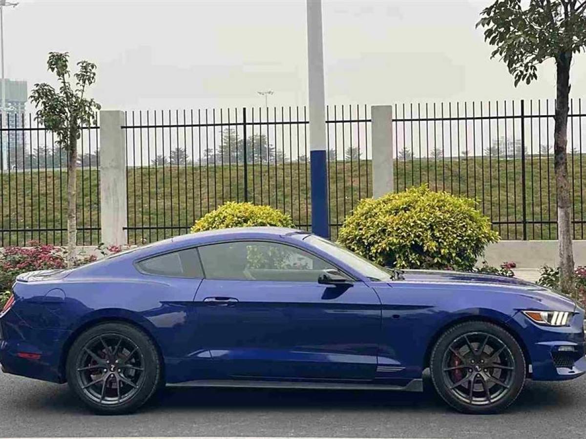 福特 Mustang  2015款 2.3T 性能版圖片