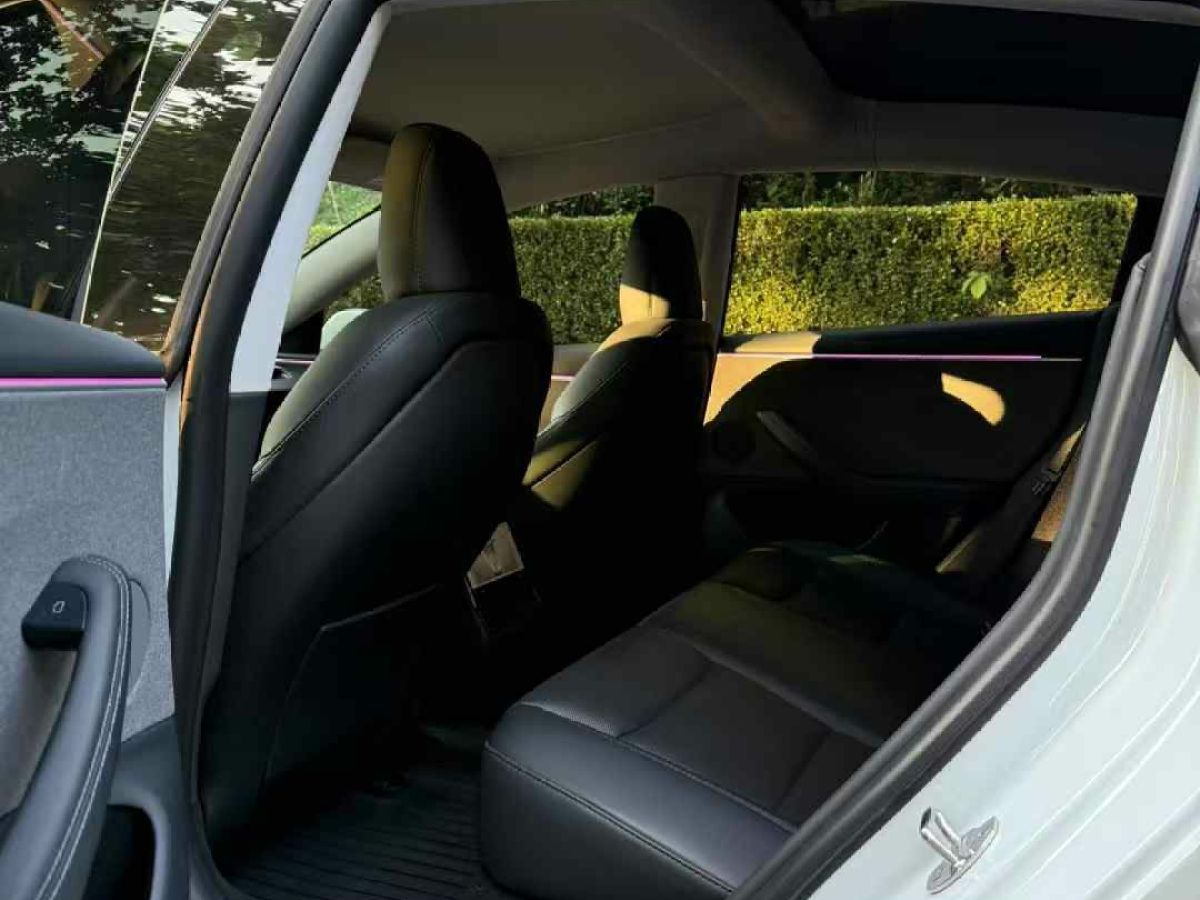 特斯拉 Model Y  2024款 Performance高性能版圖片