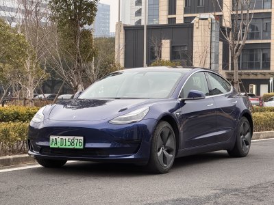 2020年4月 特斯拉 Model 3 標(biāo)準(zhǔn)續(xù)航后驅(qū)升級(jí)版圖片