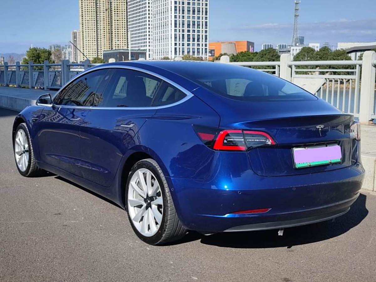 特斯拉 Model 3  2020款 改款 標(biāo)準(zhǔn)續(xù)航后驅(qū)升級(jí)版圖片