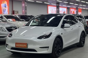 Model 3 特斯拉 Performance高性能全輪驅(qū)動版