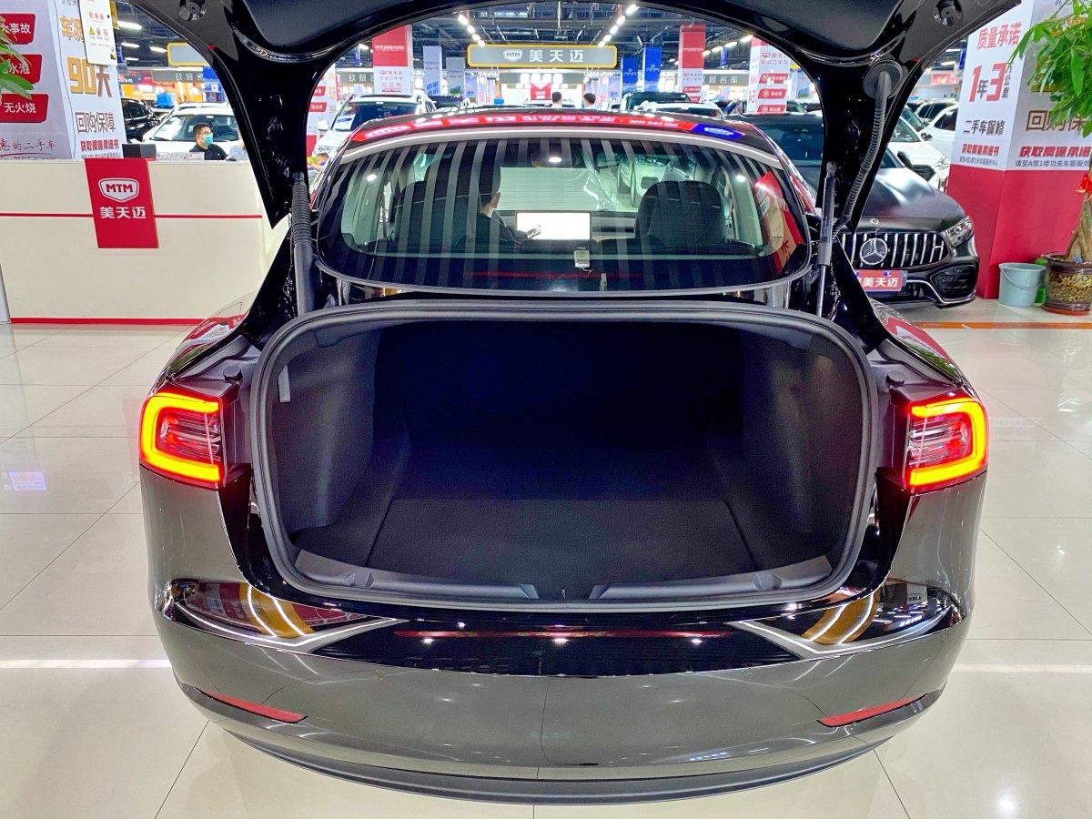 特斯拉 Model 3  2019款 標(biāo)準(zhǔn)續(xù)航后驅(qū)升級(jí)版圖片