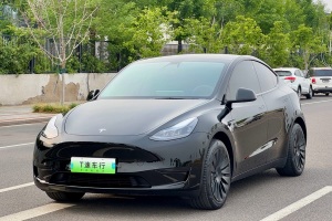 Model Y 特斯拉 改款 后輪驅(qū)動版