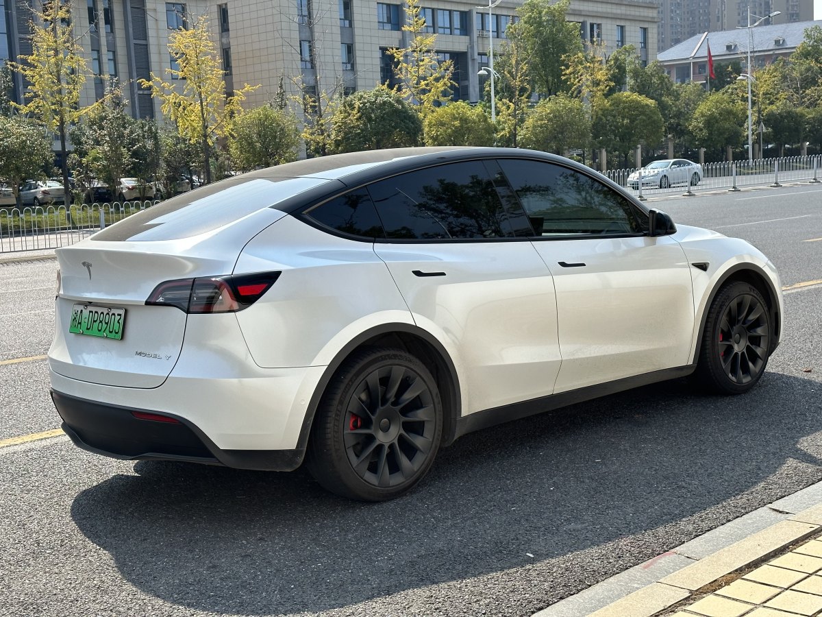 特斯拉 Model Y  2020款 改款 長續(xù)航后輪驅(qū)動版圖片