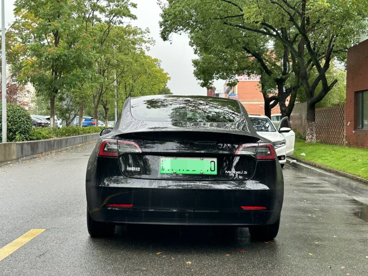 特斯拉 Model 3  2021款 標(biāo)準(zhǔn)續(xù)航后驅(qū)升級版 3D6圖片