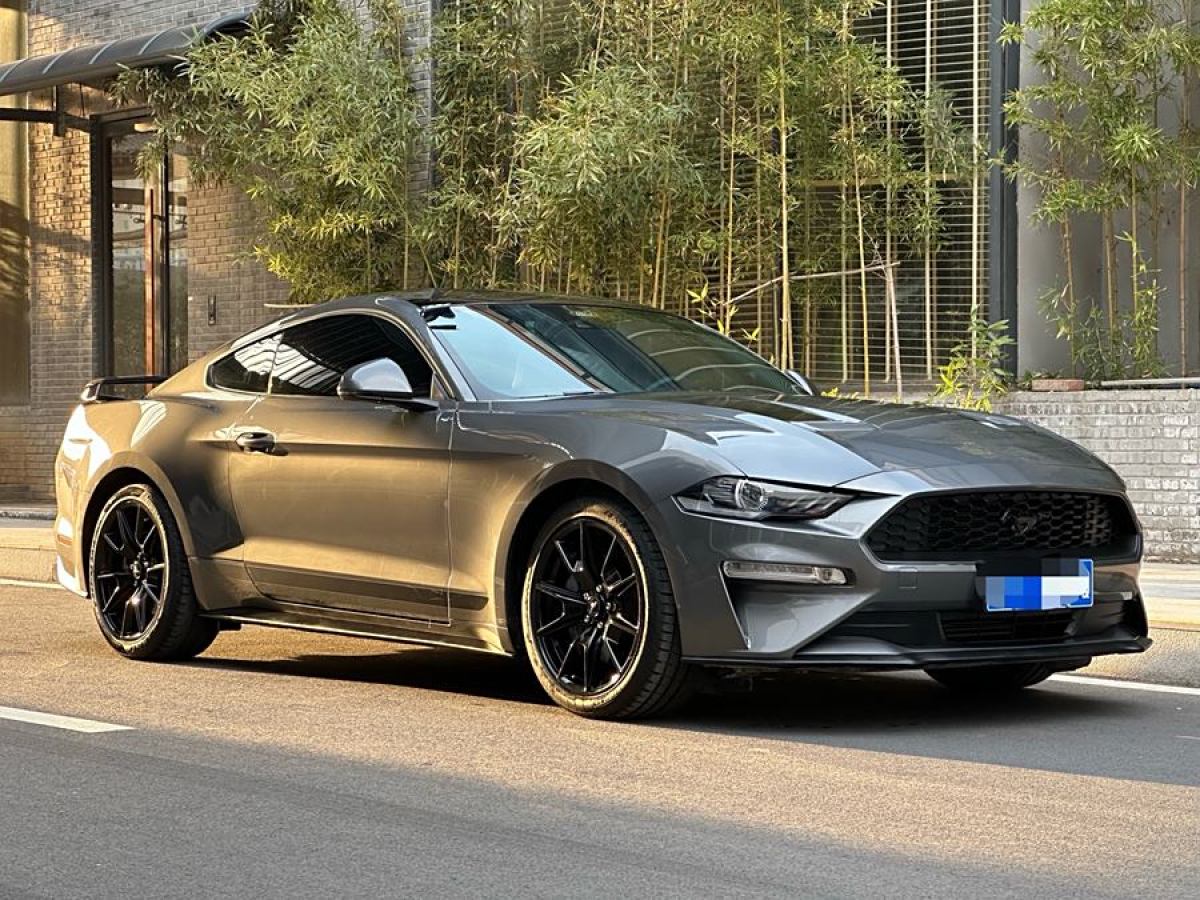 福特 Mustang  2021款 2.3L EcoBoost 黑曜魅影特別版圖片