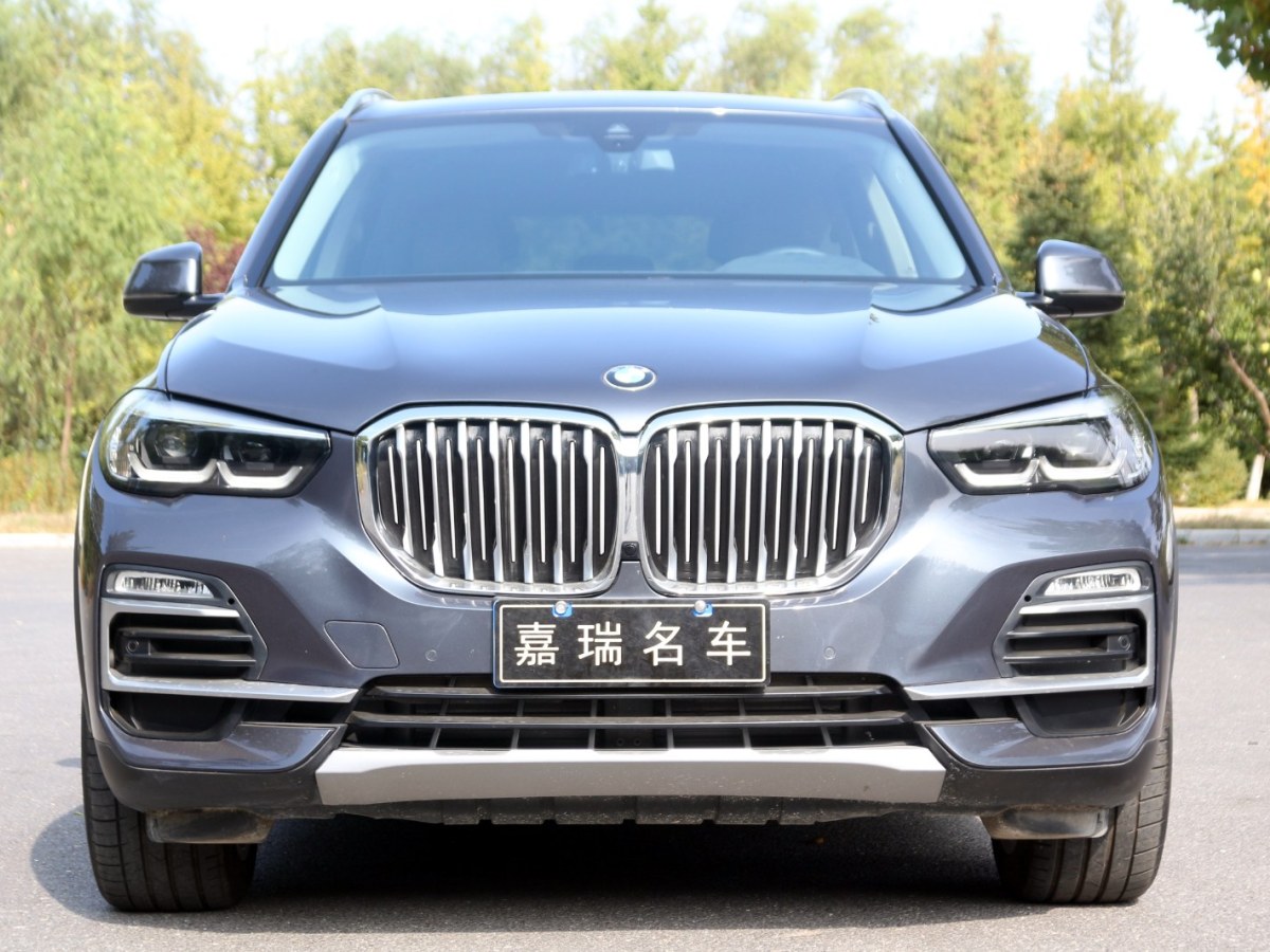 2019年1月寶馬 寶馬X5  2020款 xDrive30i X設(shè)計(jì)套裝