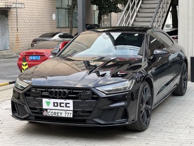 2022年10月 奧迪 奧迪A7L 45 TFSI quattro S-line 黑武士版圖片