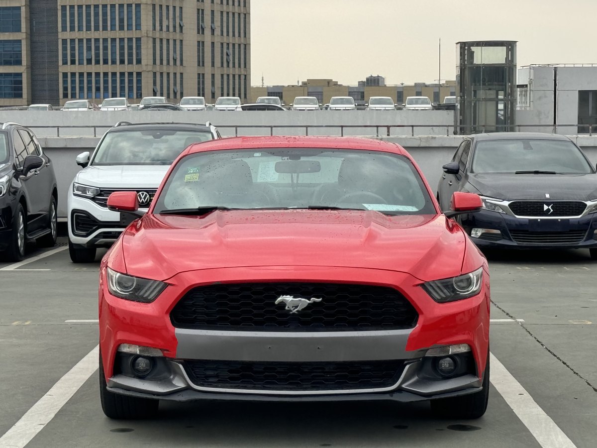 福特 Mustang  2017款 2.3T 性能版圖片