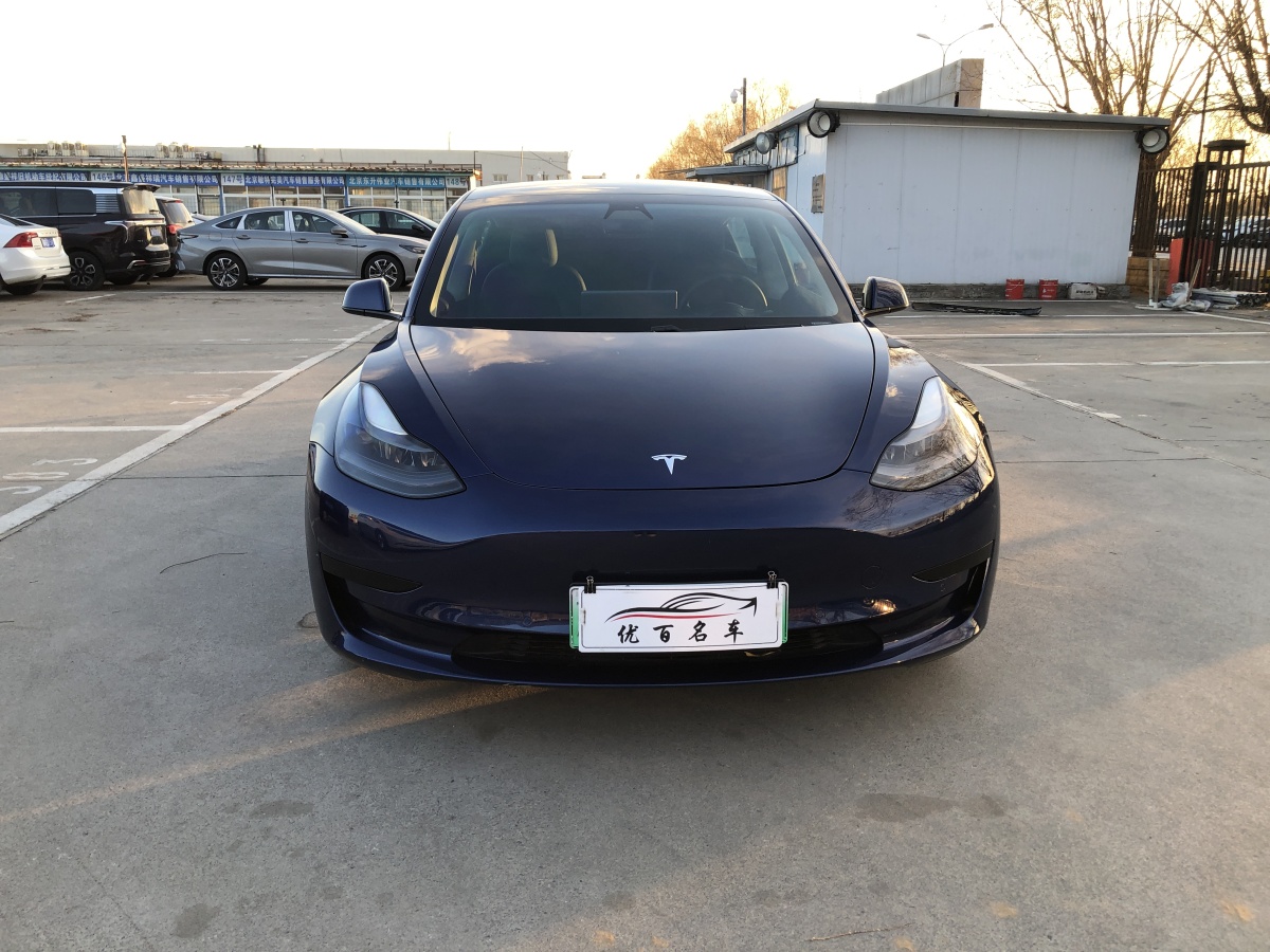 特斯拉 Model 3  2019款 標(biāo)準(zhǔn)續(xù)航后驅(qū)升級(jí)版圖片