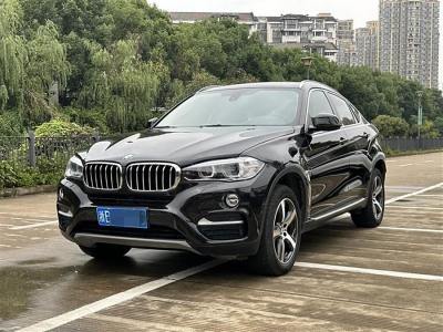 2015年4月 宝马 宝马X6(进口) xDrive35i 领先型图片