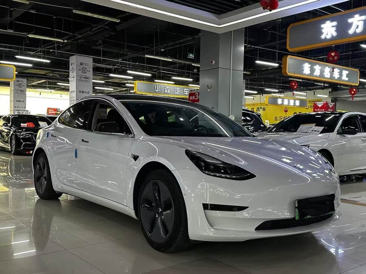 特斯拉 Model 3  2019款 長續(xù)航后驅(qū)版圖片