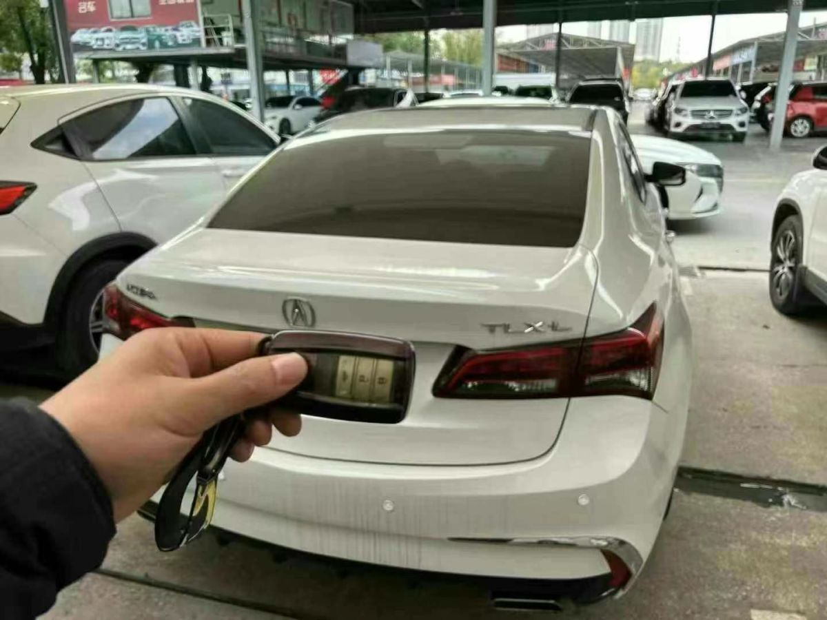 謳歌 TLX 圖片